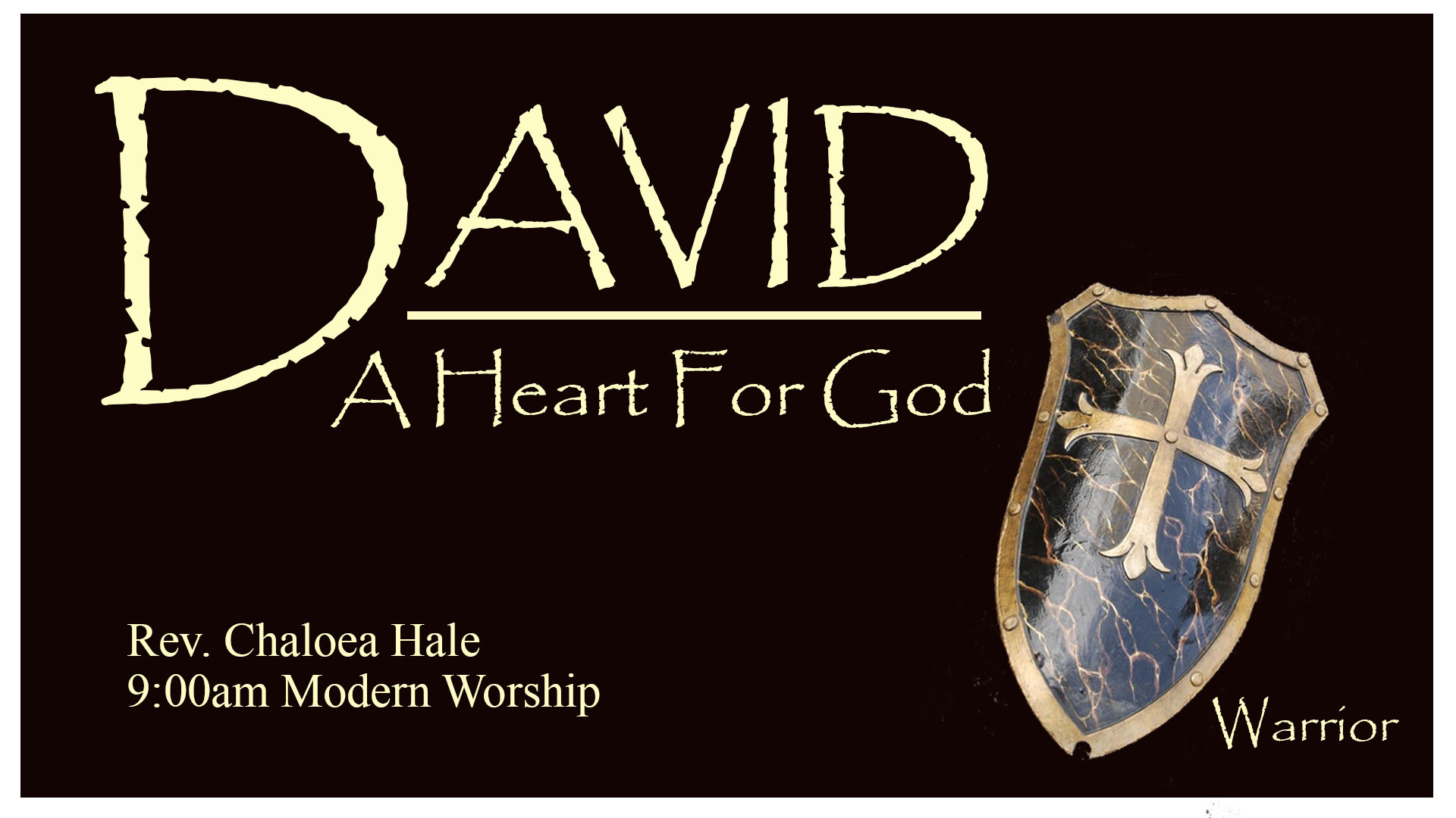 David: A Heart for God - Warrior (Common Foundation)