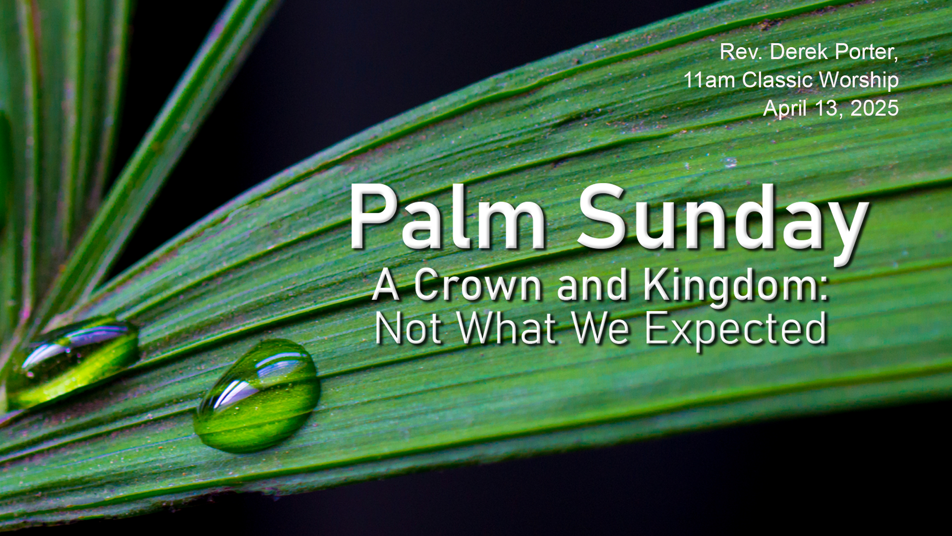 A Crown and A Kingdom: Not What We Expected (Palm Sunday)