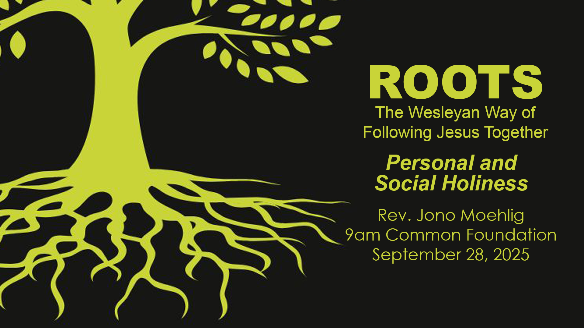 Personal and Social Holiness