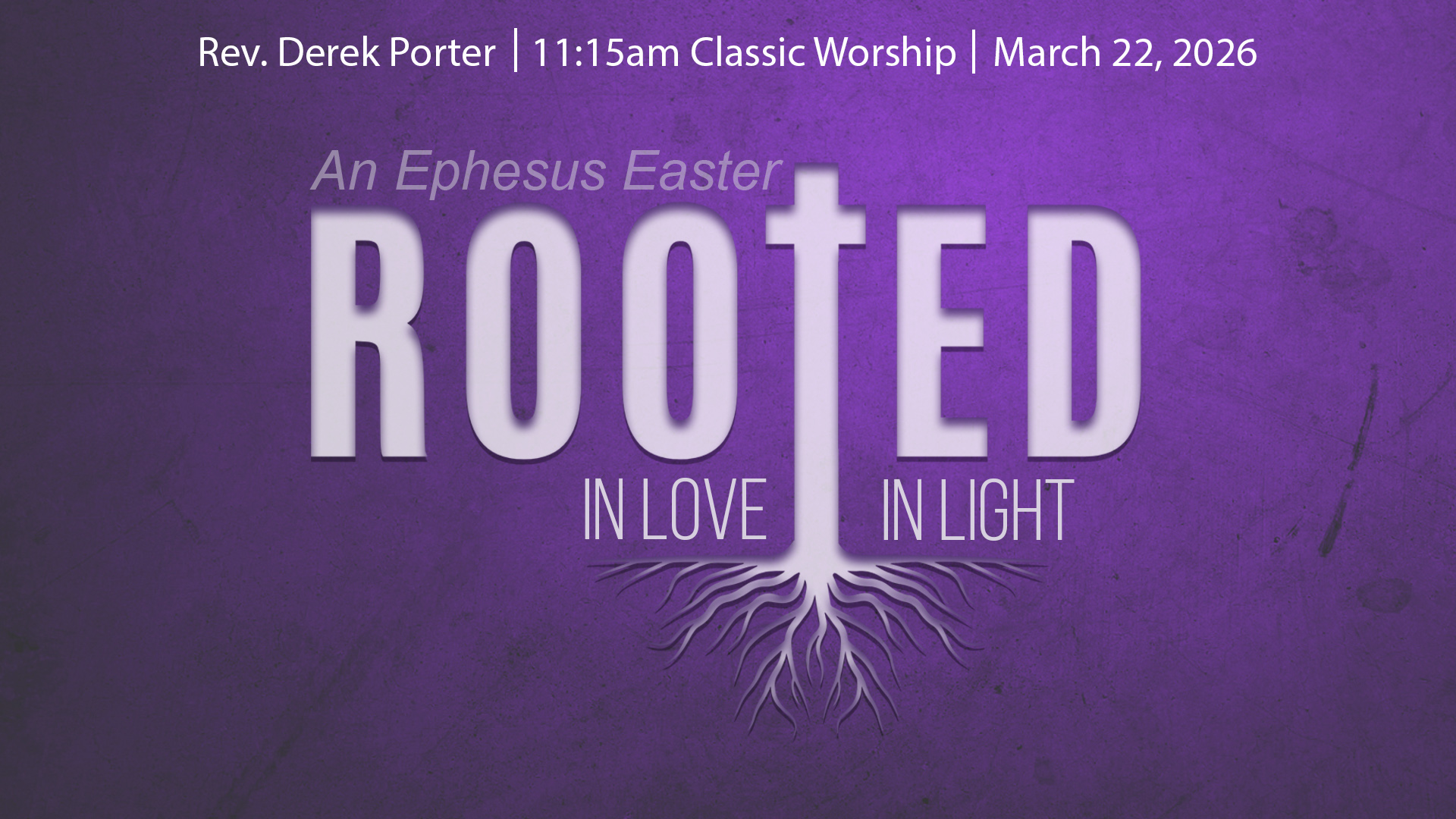 Rooted in Love, Rooted in Light